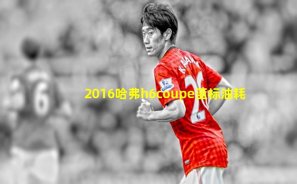 2016哈弗h6coupe蓝标油耗