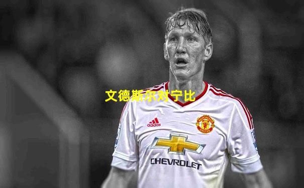 文德斯尔对宁比