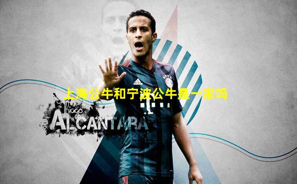 上海公牛和宁波公牛是一家吗