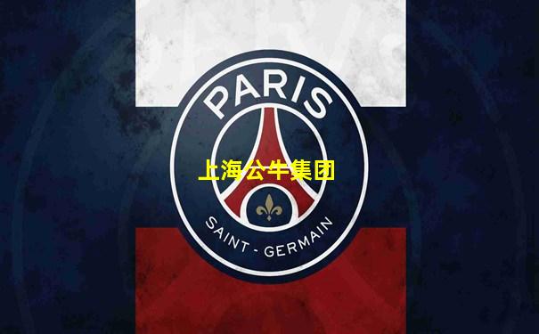上海公牛集团