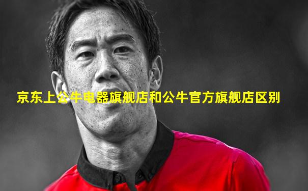 京东上公牛电器旗舰店和公牛官方旗舰店区别