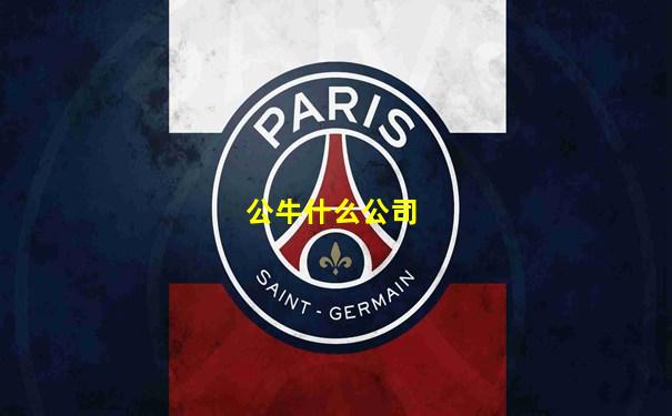 公牛什么公司