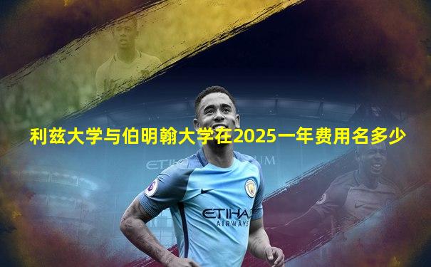 利兹大学与伯明翰大学在2025一年费用名多少