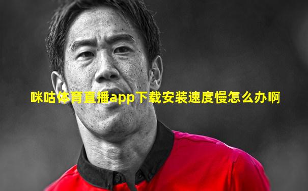咪咕体育直播app下载安装速度慢怎么办啊