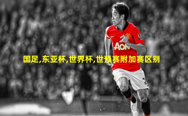 国足,东亚杯,世界杯,世预赛附加赛区别