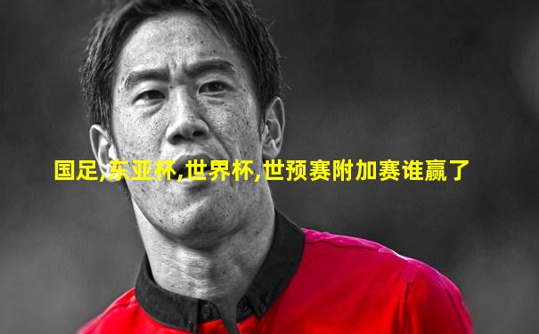 国足,东亚杯,世界杯,世预赛附加赛谁赢了