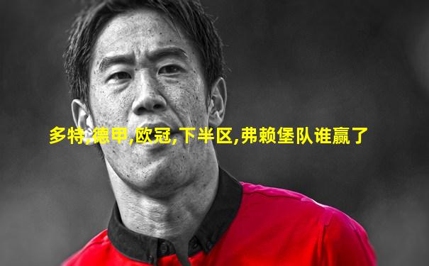 多特,德甲,欧冠,下半区,弗赖堡队谁赢了