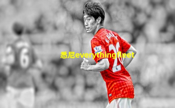 悉尼everythingfleet