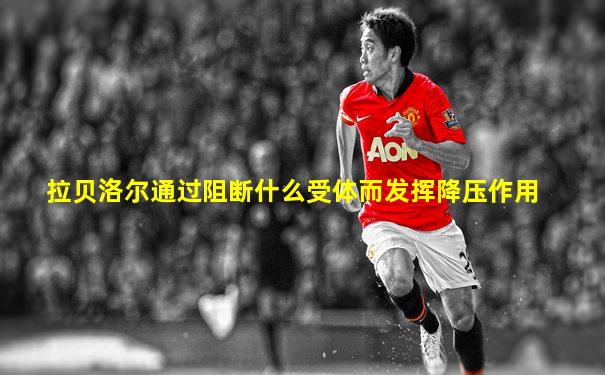 拉贝洛尔通过阻断什么受体而发挥降压作用