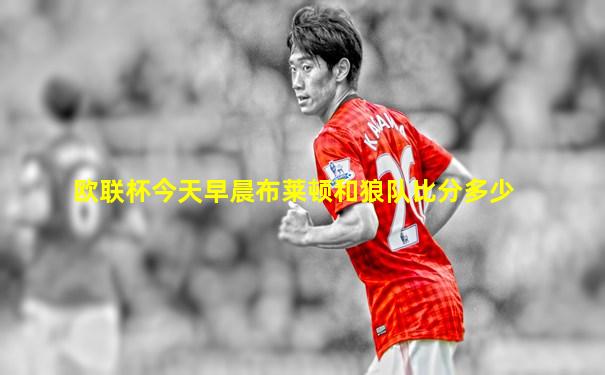 欧联杯今天早晨布莱顿和狼队比分多少