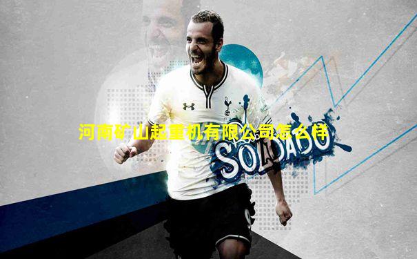 河南矿山起重机有限公司怎么样
