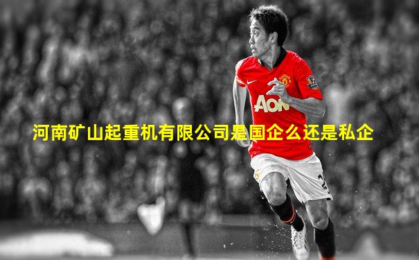 河南矿山起重机有限公司是国企么还是私企