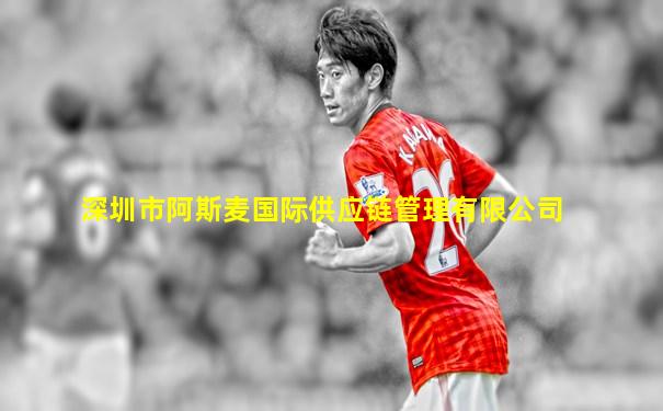 深圳市阿斯麦国际供应链管理有限公司