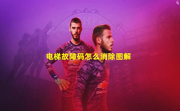 电梯故障码怎么消除图解