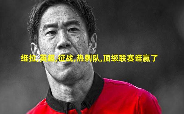 维拉,英超,征战,热刺队,顶级联赛谁赢了
