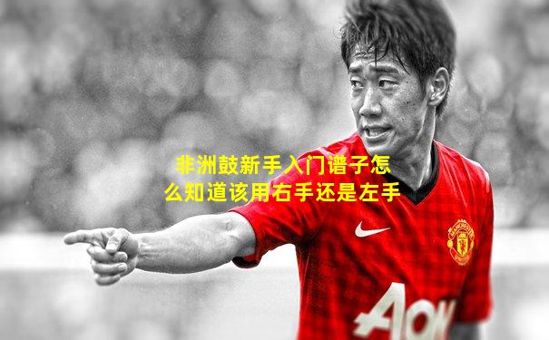 非洲鼓新手入门谱子怎么知道该用右手还是左手