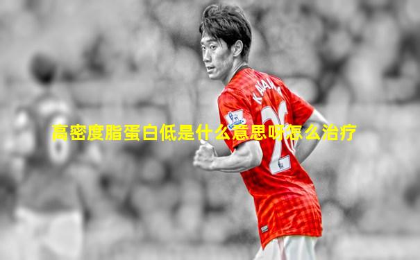 高密度脂蛋白低是什么意思呀怎么治疗